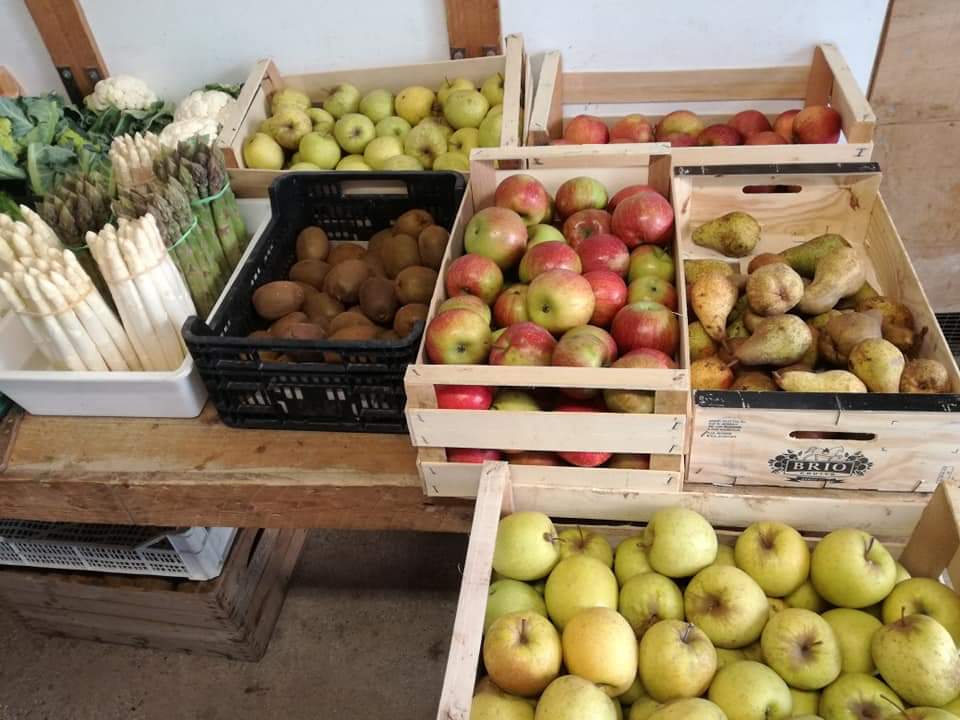 I negozi che consegnano la spesa a domicilio a Oppeano: Società agricola Zampa Paolo e Davide