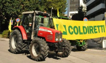 Coldiretti Verona: "A disposizione mezzi e trattori per sanificare strade e piazze venete"