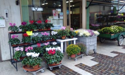 I negozi che consegnano la spesa a domicilio a Castagnaro: Frutta verdura e fiori da Vanessa