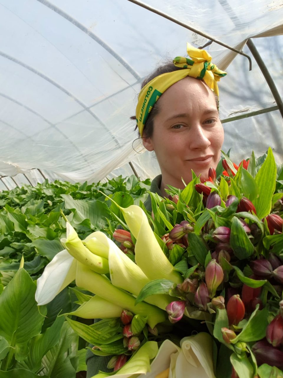 Coldiretti Verona: “Florovivaismo al minimo storico con fiori e piante da  buttare”