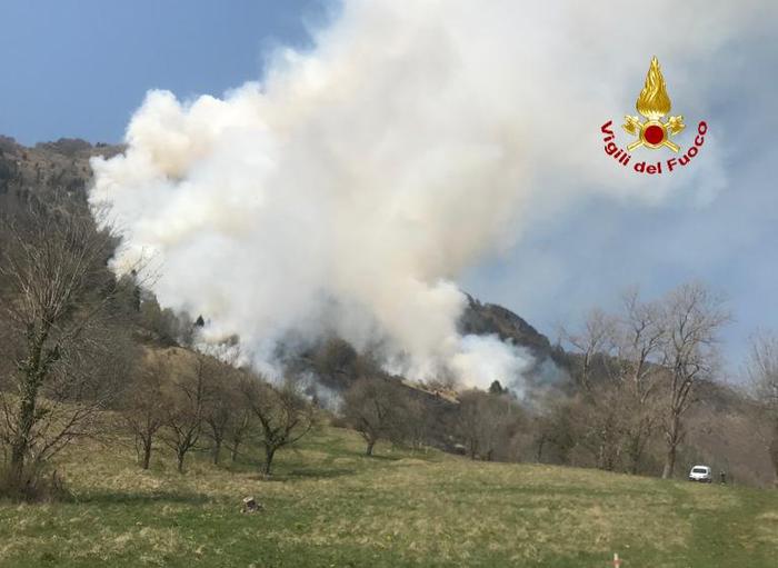 Incendio boschivo con più focolai al confine col Veronese, si pensa al dolo