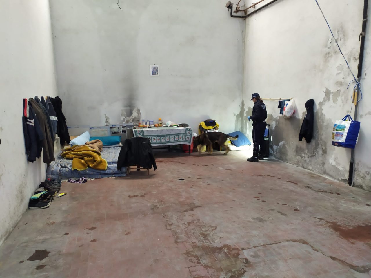 Controlli al complesso Tiberghien, due bivacchi smantellati