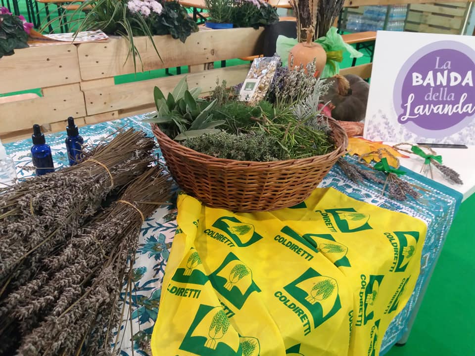 Fase 2, Coldiretti Verona: fattorie didattiche in supporto alle famiglie con bambini