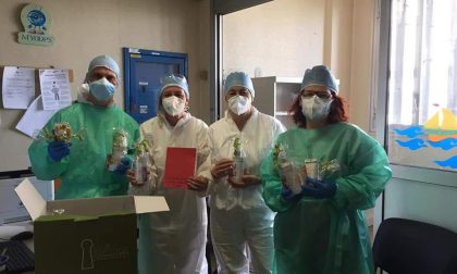 Creme per le mani e il viso a medici e infermieri in prima linea nei reparti Covid-19 del Mater Salutis