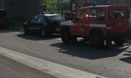 Rintrovato il giovane che si era tuffato nell'Adige per sfuggire alla visita psichiatrica