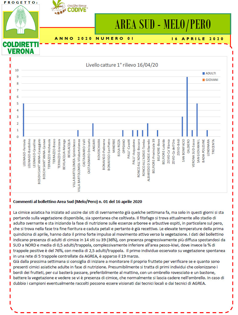 coldiretti 5