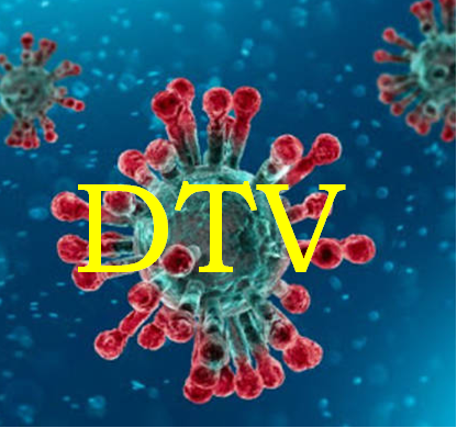 “Dizionario del Tempo del Virus”, la futura memoria del Coronavirus