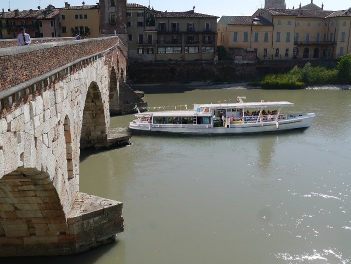 Ordine Ingegneri di Verona: "I tagli degli alberi lungo il fiume sono indispensabili"