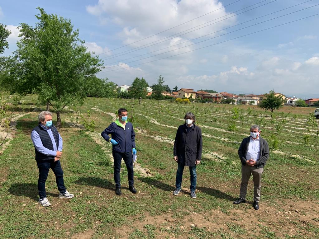 Via del Pestrino ora ospita più di mille nuovi alberi