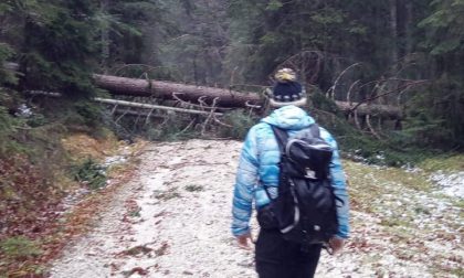 Ripresa attività all'aperto, il Soccorso Alpino Veneto: "Attenzione in montagna"
