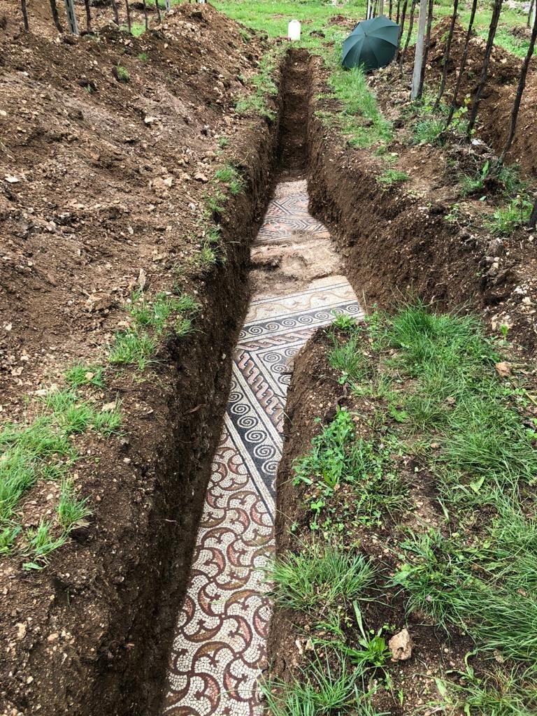 Nascosta sotto le vigne la pavimentazione della Villa Romana