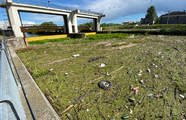 Accumuli vegetali lungo il Canal Bianco presso la conca di Torretta FOTO