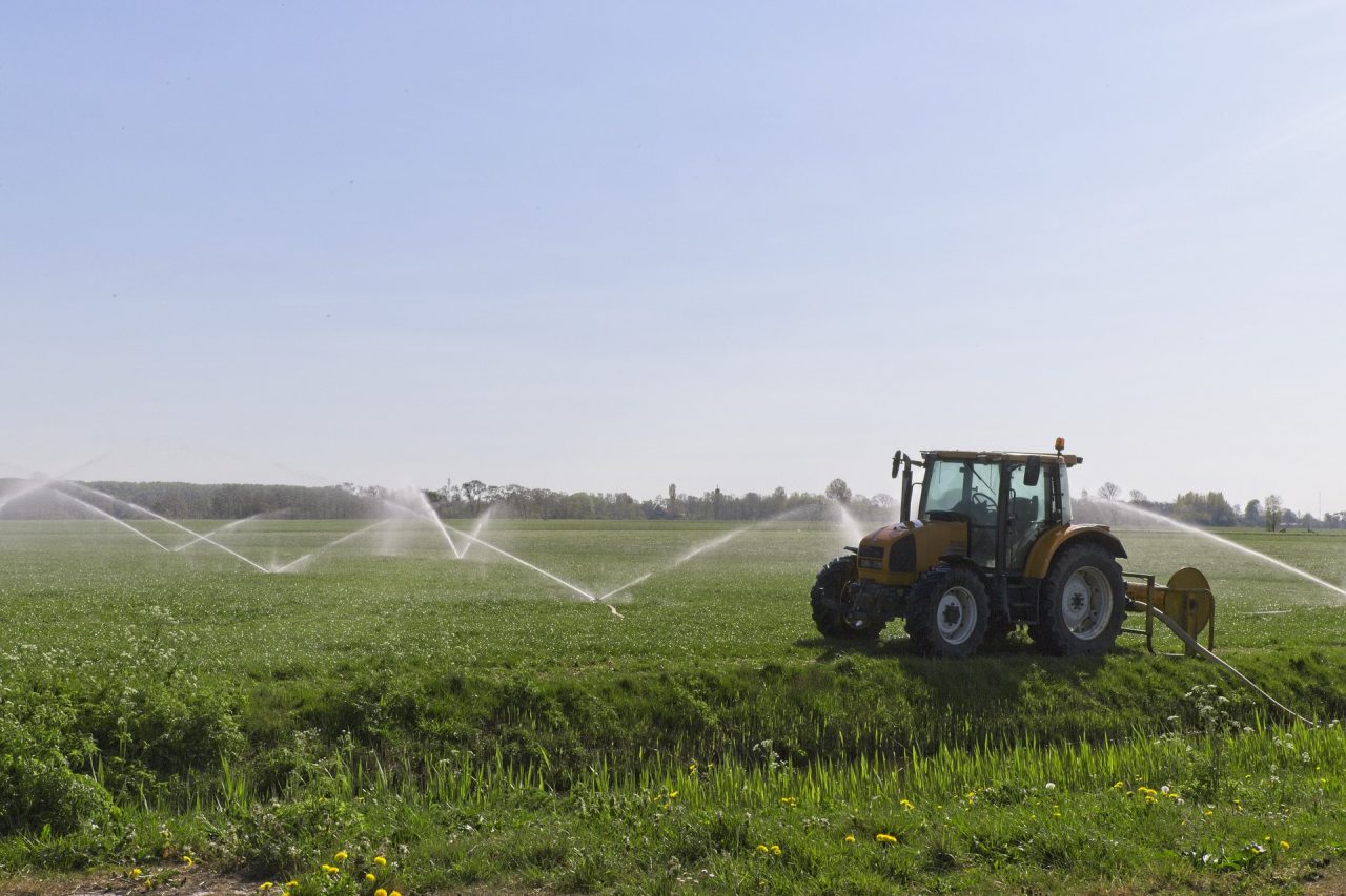 Coldiretti Verona: “Arrivati dal Marocco i primi operai agricoli, serve Decreto Flussi”