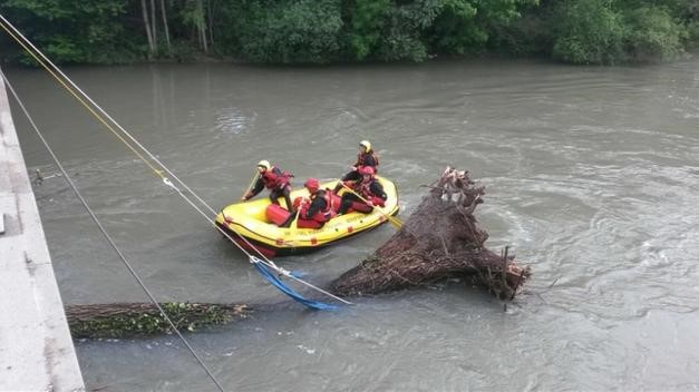 Ordine Ingegneri di Verona: “I tagli degli alberi lungo il fiume sono indispensabili”