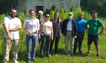 Forte San Procolo: scoperte numerose specie spontanee, richiesta la preservazione della biodiversità