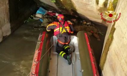 Gattino in pericolo salvato dai Vigili del Fuoco a Torretta FOTO E VIDEO