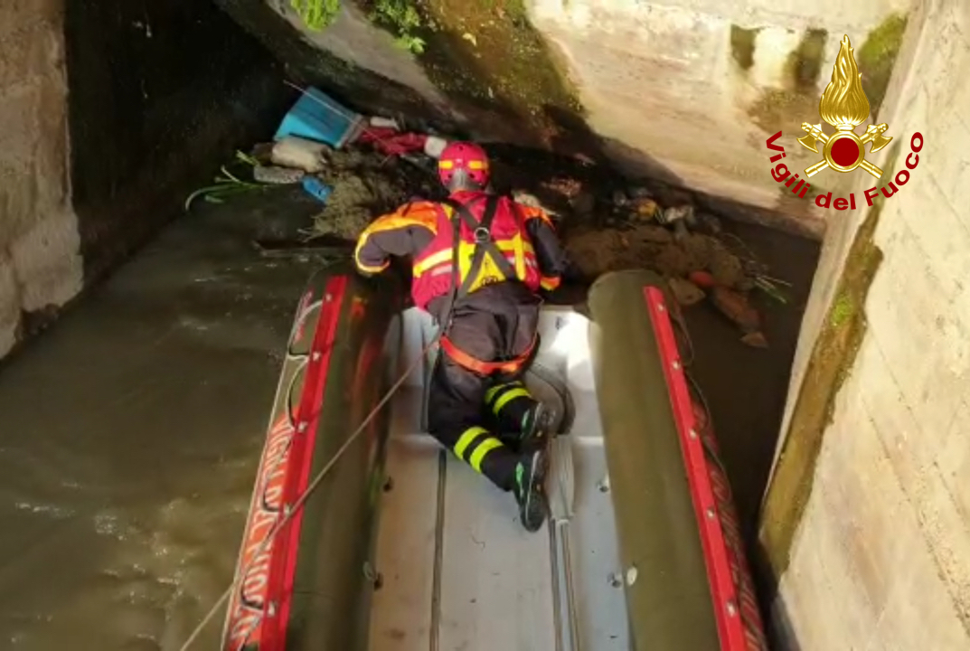 Gattino in pericolo salvato dai Vigili del Fuoco a Torretta FOTO E VIDEO