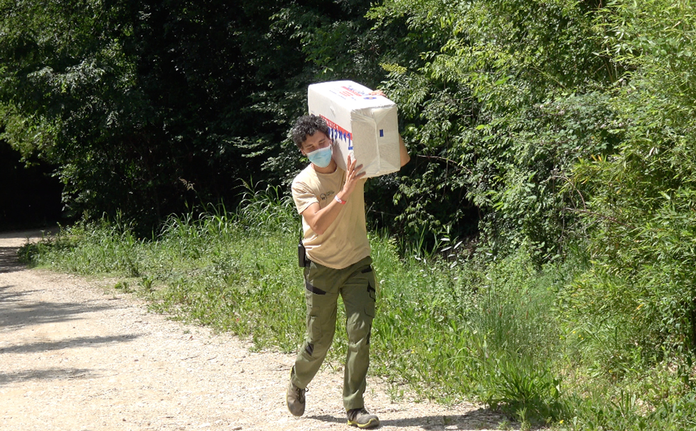 Maratona dello staff nel Parco Natura Viva, raccolti 2mila dollari per il panda rosso FOTO