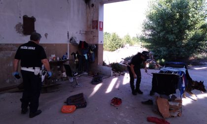 Sgomberi e denunce per occupazioni abusive, sequestrato stupefacente grazie al cane Pico
