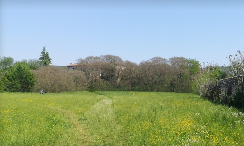 Conoscere il verde in città, appuntamenti nei parchi e sulle Torricelle