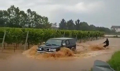 Sci nautico nel vigneto: il maltempo non toglie il buonumore nel Trevigiano – VIDEO