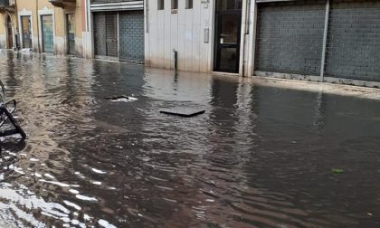 Allagamenti a Veronetta, Padovani: “Va rifatto l’intero sistema fognario, intensificata la pulizia delle caditoie”