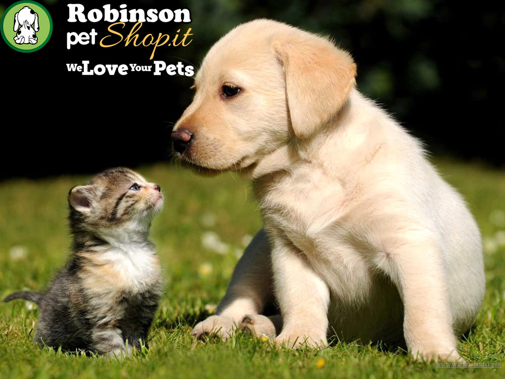 Robinson Pet Shop, il negozio online per gli amanti degli animali domestici
