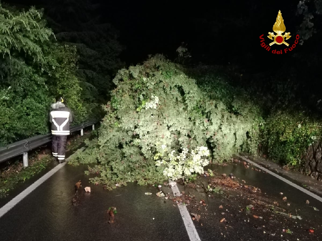 Maltempo: numerosi danni tra cavi dell’illuminazione strappati e alberi caduti sulle auto FOTO