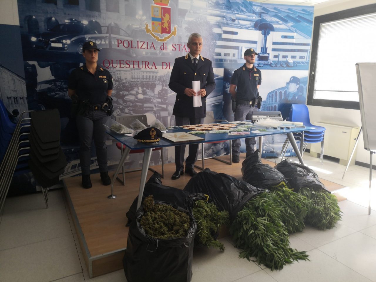 Scoperta una piantagione di marijuana tra Verona e Castel d’Azzano, arrestato ex agricoltore – FOTO