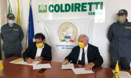 Firmato l'accordo tra agricoltura e attività venatoria, Salvagno: "Una relazione sostenibile con l’ambiente"