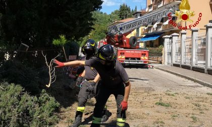 Nubifragio Verona, il capoluogo e San Martino Buon Albergo le zone più colpite - VIDEO e GALLERY