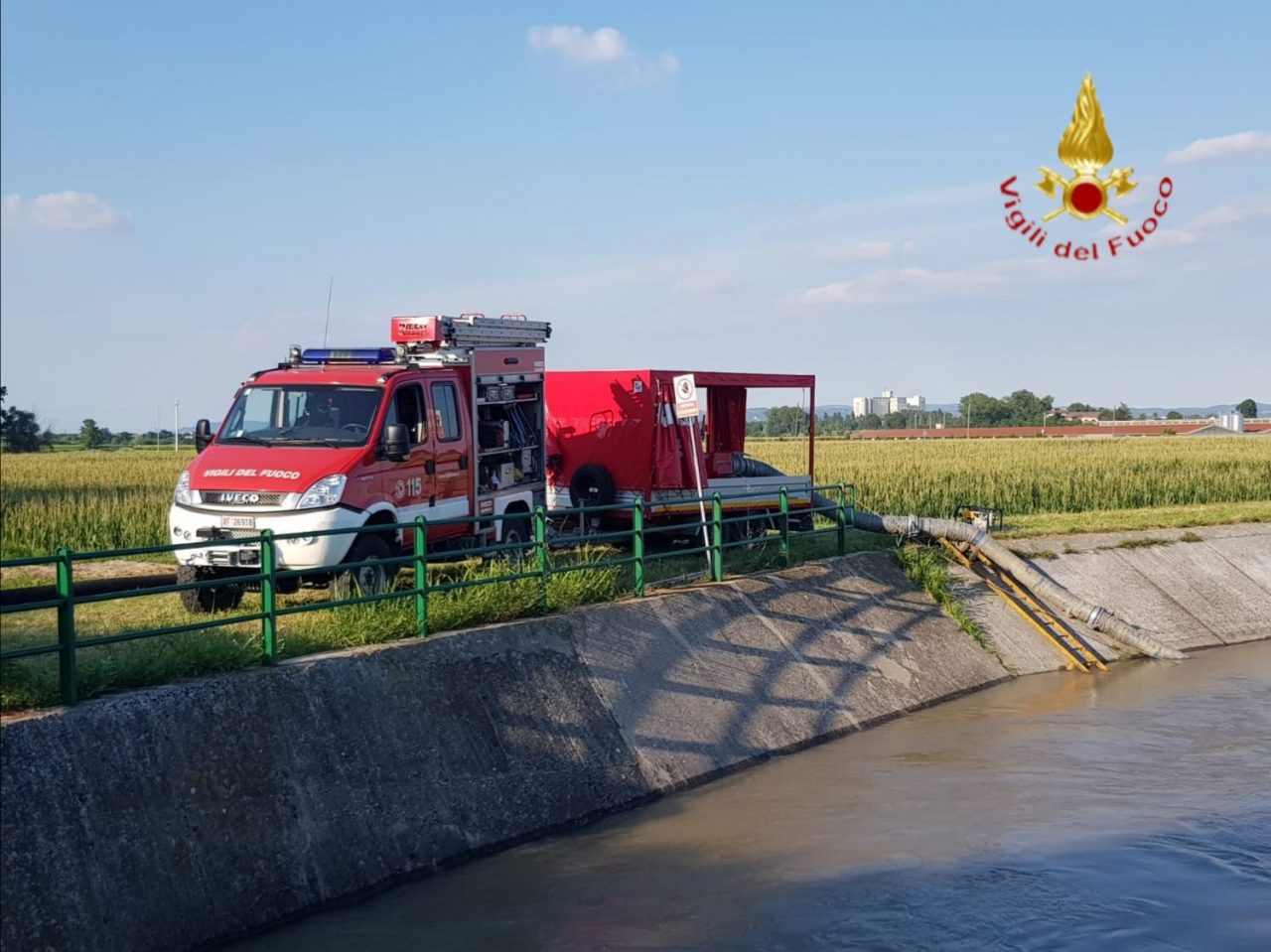Poca acqua per i pesci nel corso d’acqua ad Albaredo d’Adige, i Vigili del fuoco li salvano FOTO E VIDEO