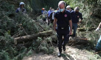 Sgombero piante e detriti: undici squadre e circa cinquanta volontari della Protezione civile al lavoro