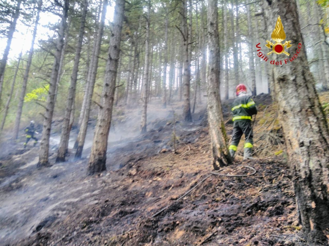 Missione anticendio boschivo a L’Aquila: Vigili del Fuoco all’opera per bonificare a mano le zone impervie FOTO