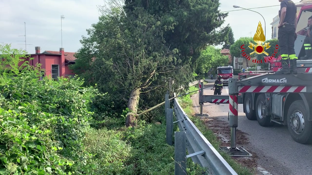 Maltempo a Verona: albero di 15 metri cade sul tetto di un’abitazione VIDEO