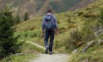 Ordine Agronomi e Forestali lancia allerta zecche nelle montagne veronesi: i consigli per le escursioni