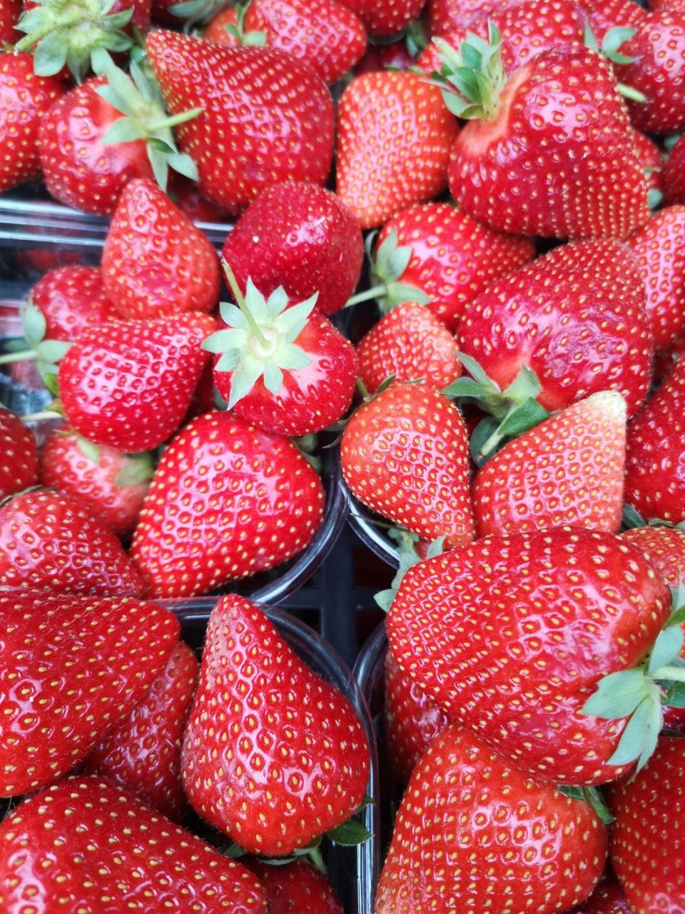 Coldiretti Verona: “Bene l’export dell’agroalimentare veronese nel primo semestre 2020”