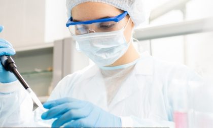 Tumore al pancreas: l’Università di Verona ha scoperto un nuovo marcatore, cure più efficaci