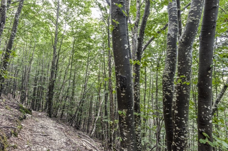 Giovani escursionisti in difficoltà: 23enne portata a spalla per quasi due ore dal soccorso Alpino