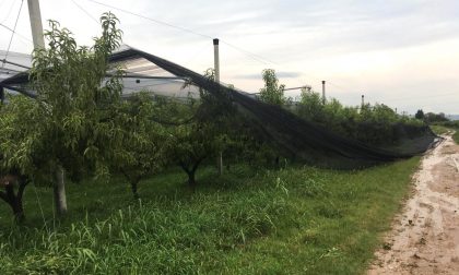 Grandine su aree già danneggiate dal nubifragio, rovinati impianti antigrandine su frutteti