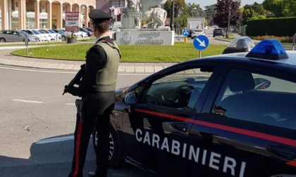 Scoperta in una casa a Isola Rizza una stanza adibita a serra con 40 piante di marijuana, arrestate due persone