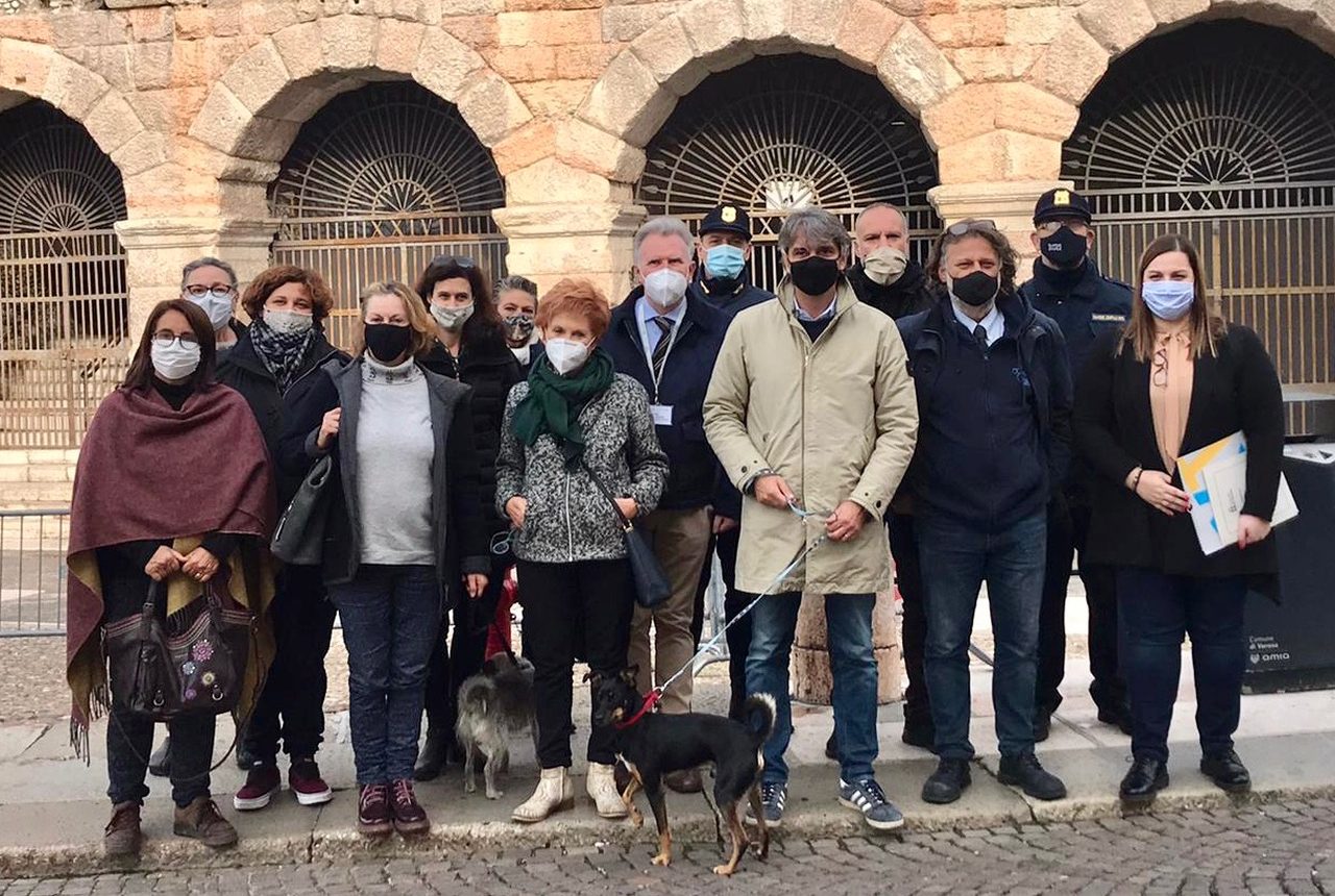 Nuovo regolamento per il benessere degli animali: stop a carrozze e circhi