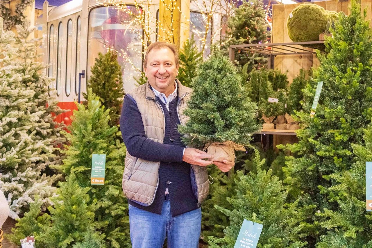 Ri-albero, torna il progetto per raccogliere, riciclare e smaltire i vecchi alberi di Natale