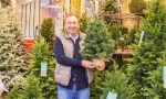 Ri-albero, torna il progetto per raccogliere, riciclare e smaltire i vecchi alberi di Natale