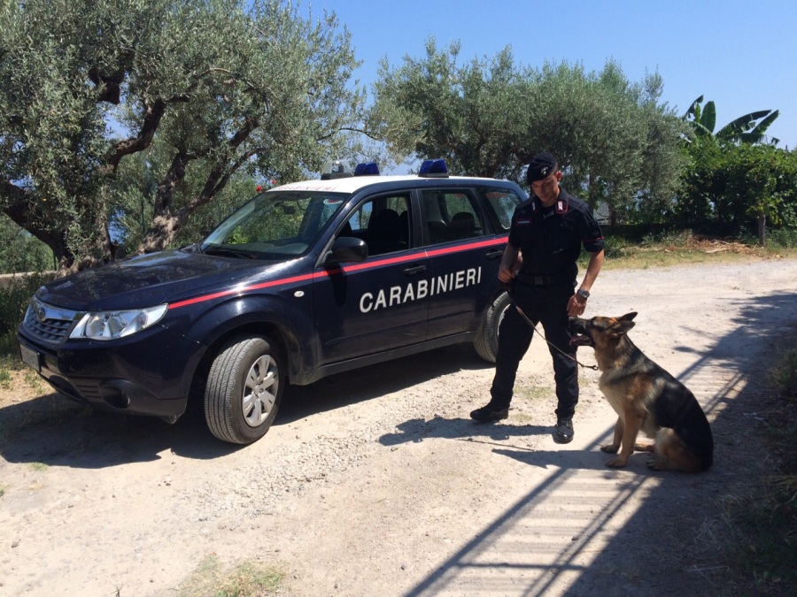 Portavano con sé la bambina per non destare sospetti: fermati coniugi pusher