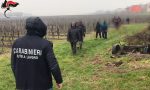 Regime di sfruttamento nella cooperativa agricola a Cologna Veneta: 3 misure cautelari VIDEO