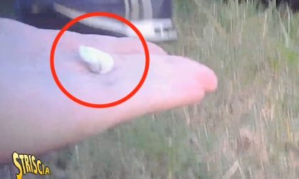 Spaccio di cocaina tra le famiglie e giovani al parco a Verona, la denuncia di Striscia la Notizia