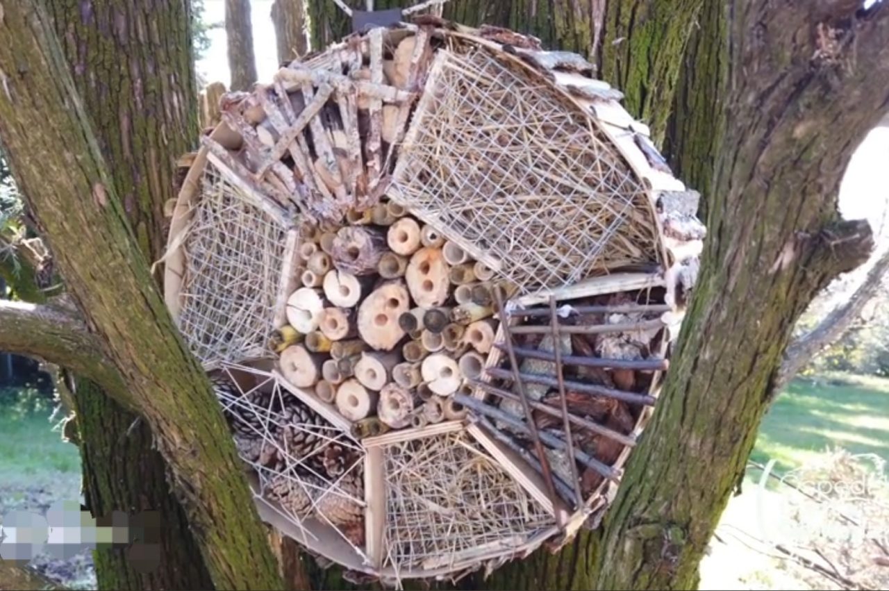 “Bee-Love”, un riparo per le api realizzato dai ragazzi dell’ospedale Santa Giuliana