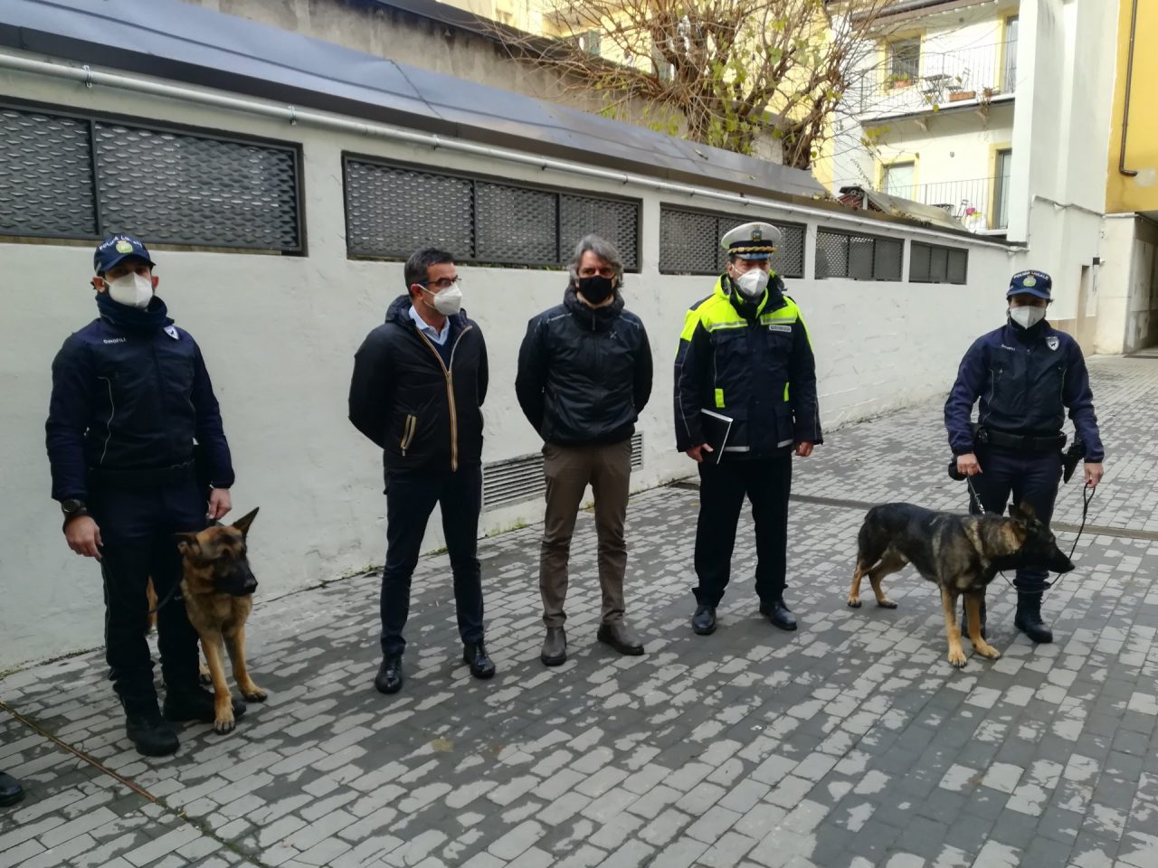 Axel è la nuova unità cinofila della Polizia locale di Verona