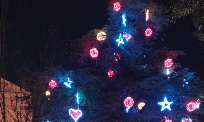 Acceso l'albero di Natale a San Martino Buon Albergo, simbolo di una comunità unita